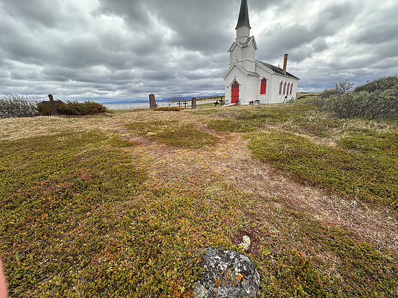 Oystercatcher, Nesseby Church, Norway, June 2025