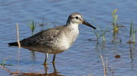 Knot, Logoa dos Salgados, Portugal, September 2015