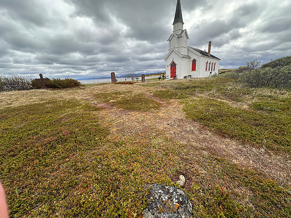 Oystercatcher, Nesseby, Norway, June 2025