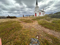 Oystercatcher, Nesseby, Norway, June 2025