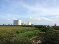 Aruba bird areas