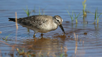 Knot, Logoa dos Salgados, Portugal, September 2015