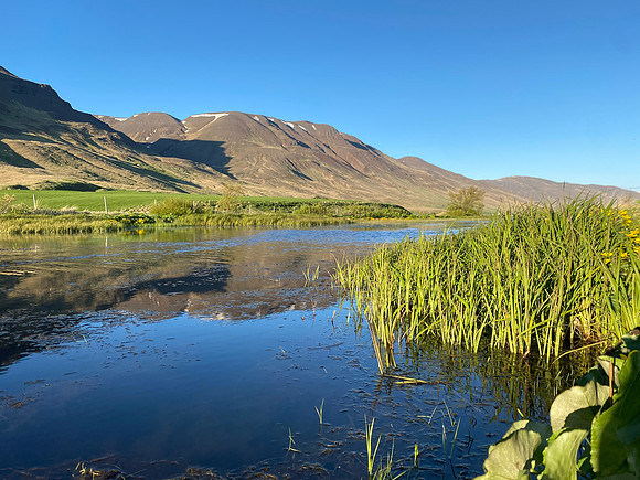 Grebe Lake