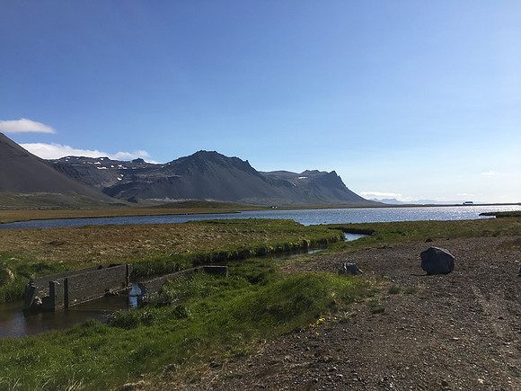 Great Northern Diver nest site, Snæfellsjökull, Iceland, June 2019