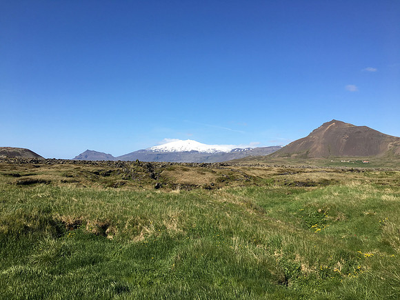 Great Northern Diver nest site, Snæfellsjökull, Iceland, June 2019