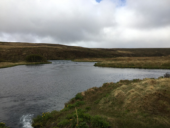 River Laxa, Iceland, June 2019