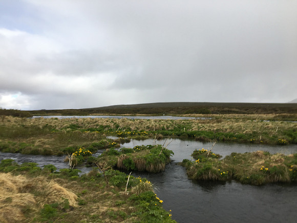 River Laxa, Iceland, June 2019