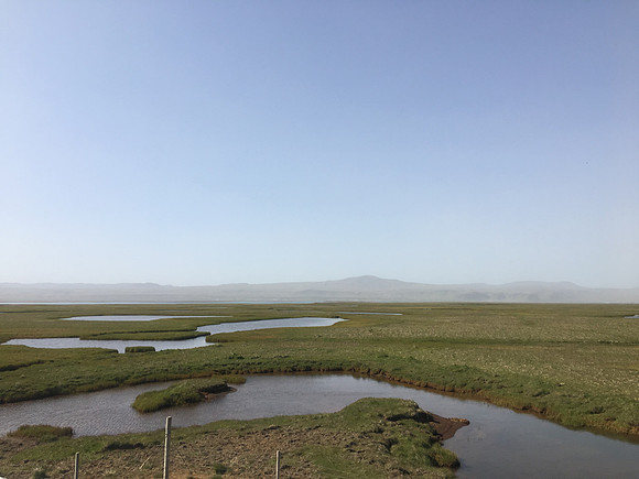 Floi Bird Reserve, June 2019