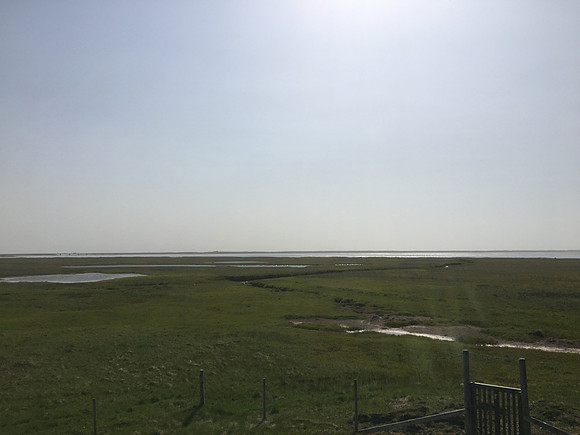 Floi Bird Reserve, June 2019