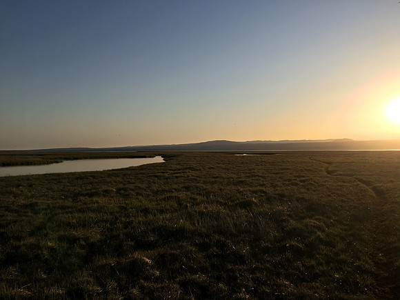 Floi Bird Reserve, June 2019