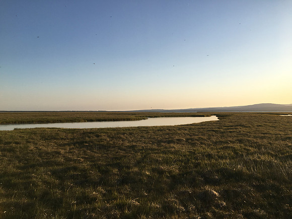 Floi Bird Reserve, June 2019