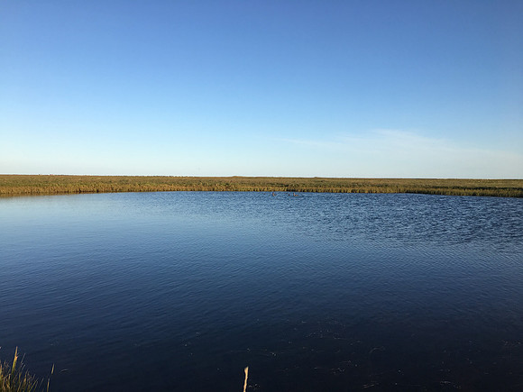Floi Bird Reserve, June 2019