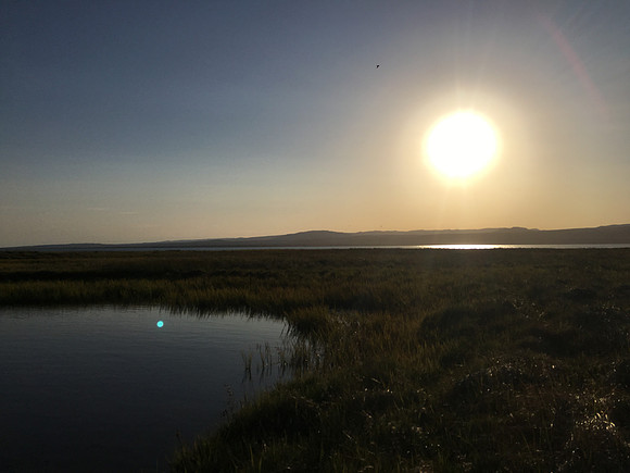 Floi Bird Reserve, June 2019