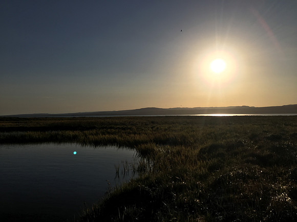 Floi Bird Reserve, June 2019