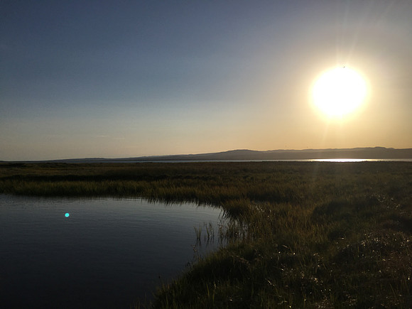 Floi Bird Reserve, June 2019