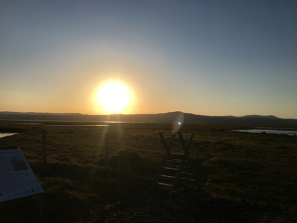 Floi Bird Reserve, June 2019