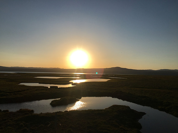 Floi Bird Reserve, June 2019