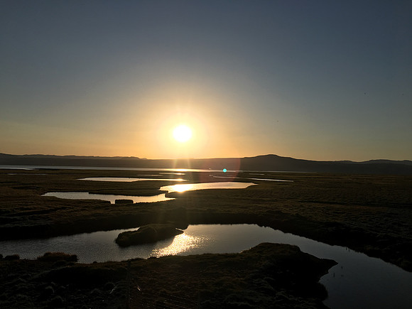 Floi Bird Reserve, June 2019