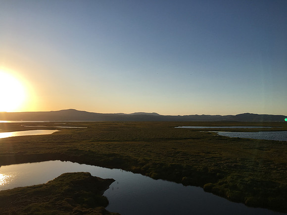 Floi Bird Reserve, June 2019