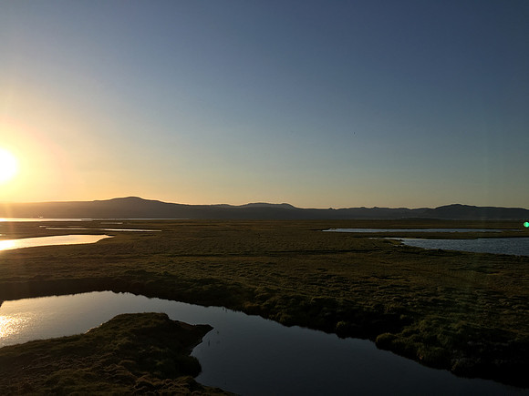 Floi Bird Reserve, June 2019