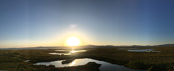 Floi Bird Reserve, June 2019